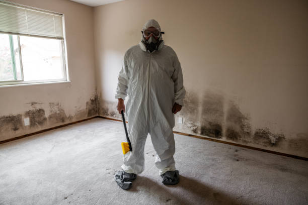 Best Industrial Mold Remediation in Blue Earth, MN